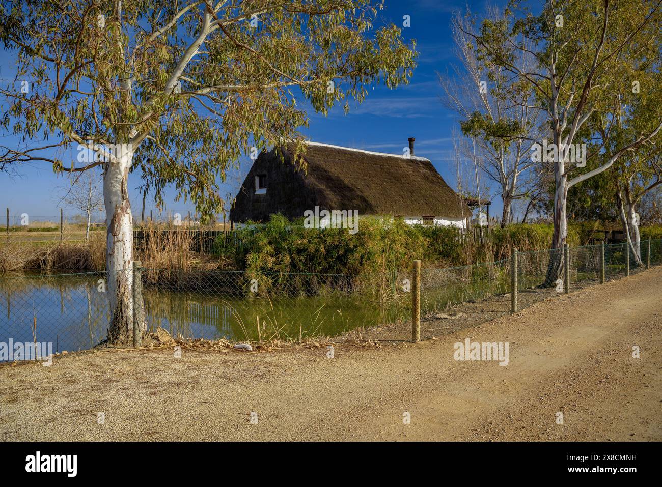 Außenansicht des Barraca de Salvador, einer ländlichen Touristenunterkunft in traditionellen Hütten des Ebro-Deltas (Tarragona, Katalonien, Spanien) Stockfoto