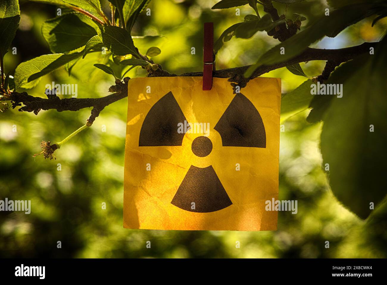 Ein gelber Papierzettel mit Strahlungswarnschild, der mit einer Kleidernadel an einem Ast befestigt ist. Schließen. Stockfoto