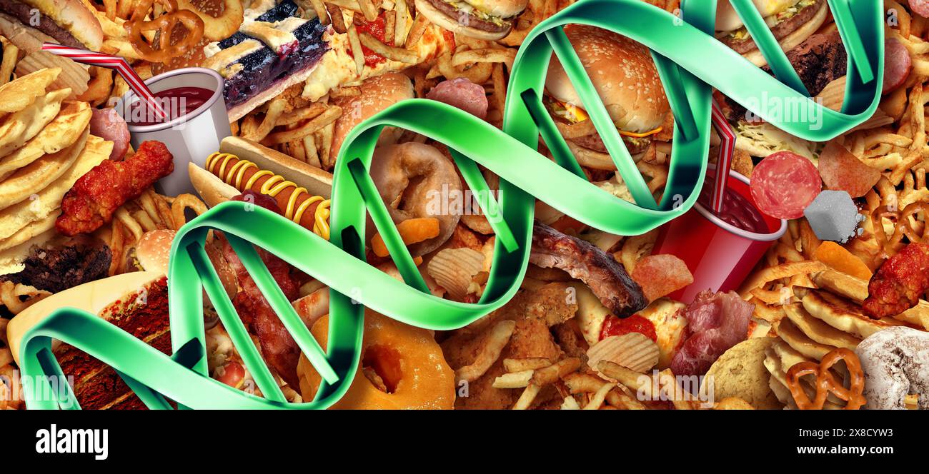 Junk Food Gene oder FAT MASSE und Adipositas assoziierte Genetik oder FTO als Fast-Food-Konzept mit einem DNA-Strang, der Genetik und ungesunde Ernährung repräsentiert Stockfoto
