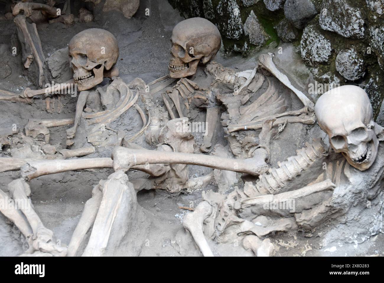 Antike Skelette in Bootsschuppen, archäologische Stätte Herculaneum, Ercolano, Kampanien, Italien Stockfoto