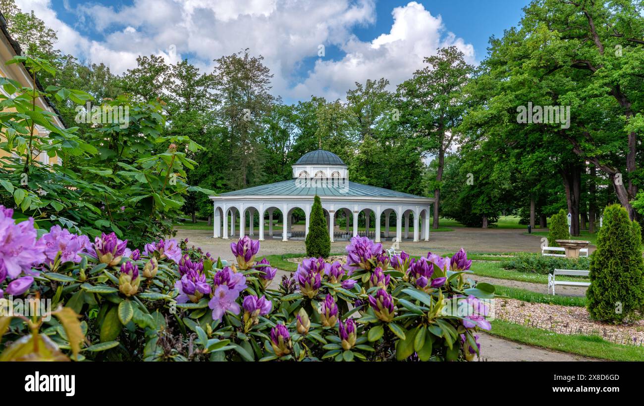 Pavillon der kalten Mineralwasserquelle Luisa im kleinen tschechischen UNESCO-Kurort Frantiskovy Lazne (Franzensbad) - Tschechische Republik (Region Karlsbad) Stockfoto