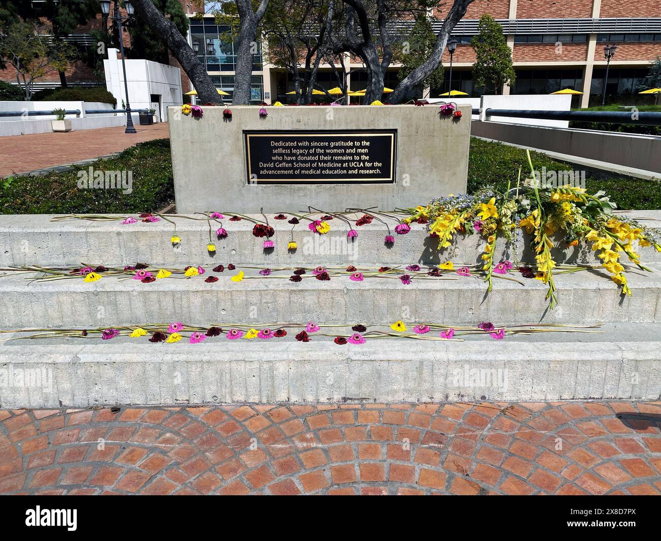 Gedenkstätte an der David Geffen School of Medicine an der UCLA gewidmet den Männern und Frauen, die ihre sterblichen Überreste für medizinische Ausbildung und Forschung gespendet haben Stockfoto