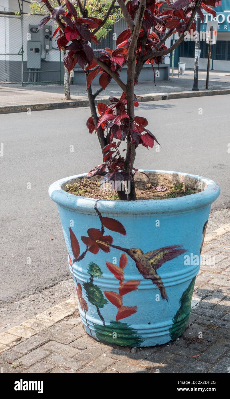 Kunstwerk eines Kolibris, der sich von Blumen ernährt, gemalt auf einem großen Pflanztopf auf dem Gehweg in San José, Costa Rica. Stockfoto