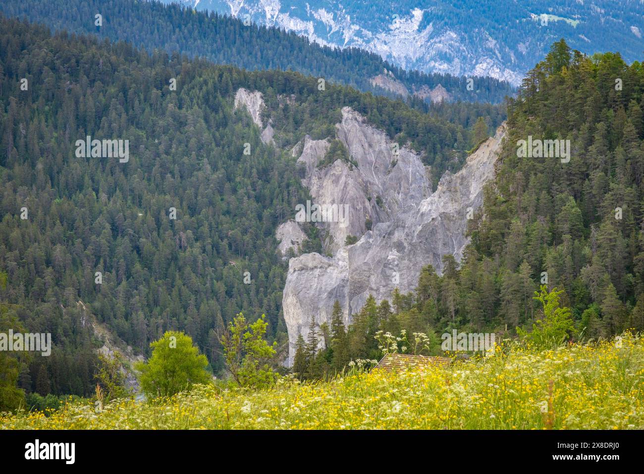 Fahrt durch die Alpen entlang der Rheinschlucht Stockfoto