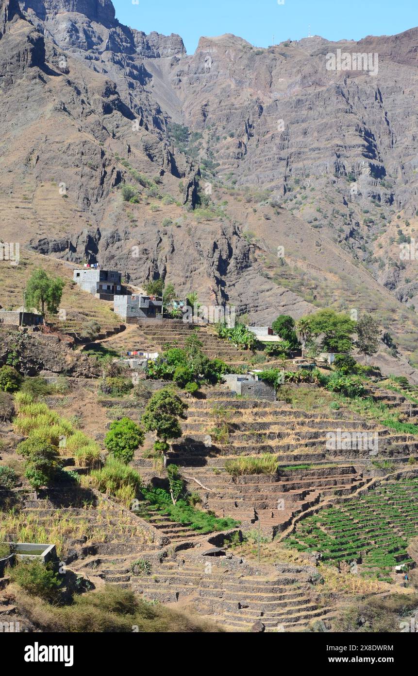 Nachhaltige Landwirtschaft in Trockengebieten: Santo Antao, Cabo Verde Stockfoto