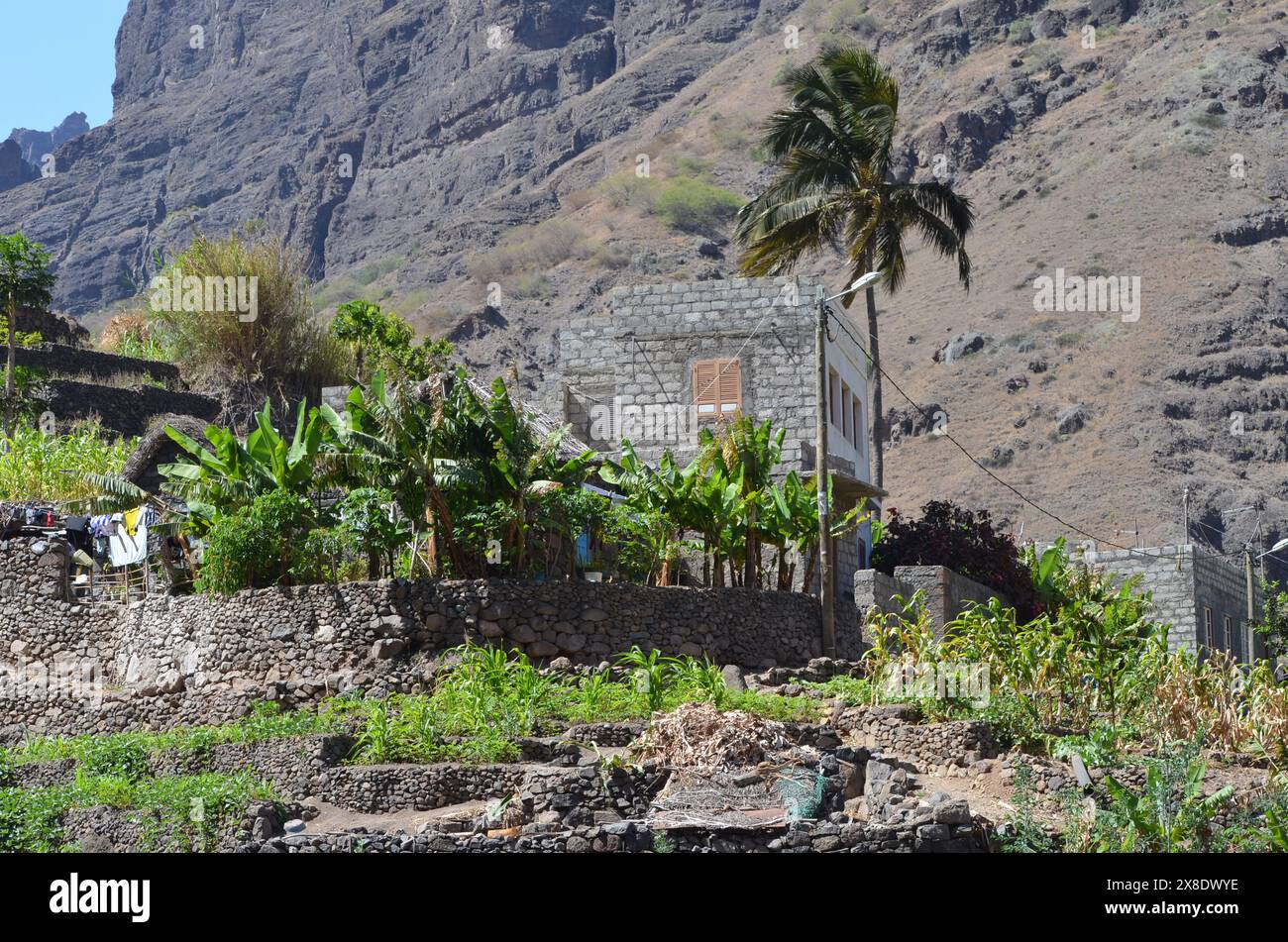 Nachhaltige Landwirtschaft in Trockengebieten: Santo Antao, Cabo Verde Stockfoto