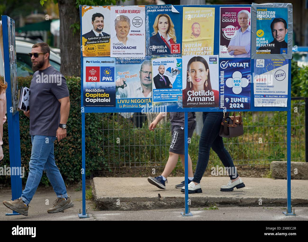 Bukarest, Rumänien. 24. Mai 2024: Ausschüsse mit den Wahlplakaten der Kandidaten für das Europäische Parlament und die Kommunalverwaltung am 9. Juni 2024. In diesem Jahr werden Rumänen fünf Mal zur Abstimmung aufgerufen: Für das Europäische Parlament, die lokalen Verwaltungen, das Parlament und für ihren Präsidenten zwei Runden. Quelle: Lucian Alecu/Alamy Live News Stockfoto