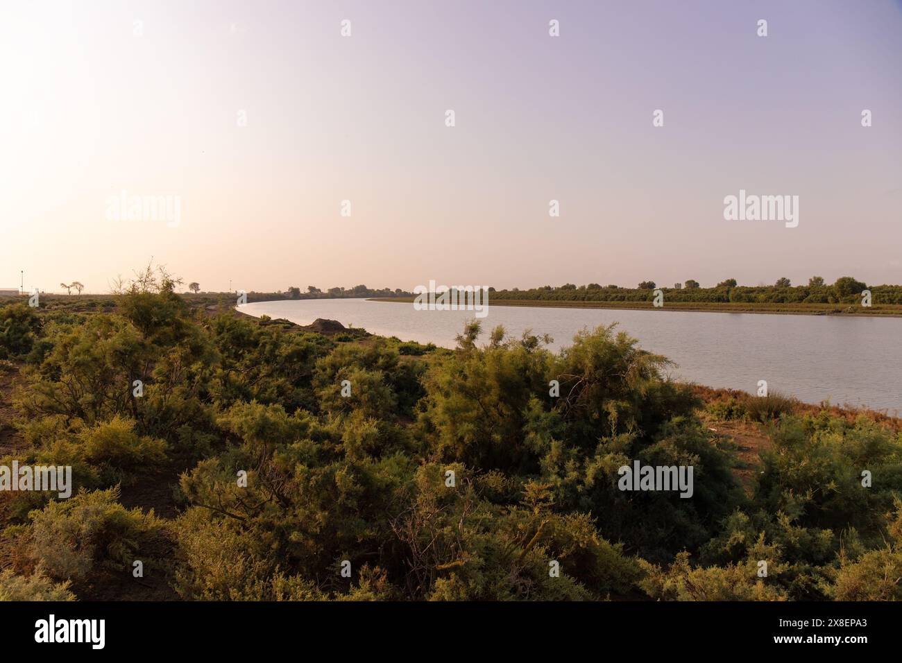 Zwei Ufer des schlammigen Kura River. Neftchala. Aserbaidschan. Stockfoto