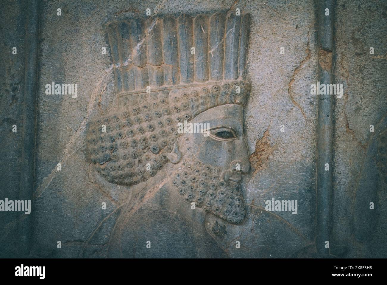 Steinschnitzerei eines persischen Soldaten, 500 v. Chr., Persepolis, Shiraz, Iran. Stockfoto Steinschnitzerei eines persischen Soldaten, 500 v. Chr., Persepolis, Shiraz, Iran. Stockfoto