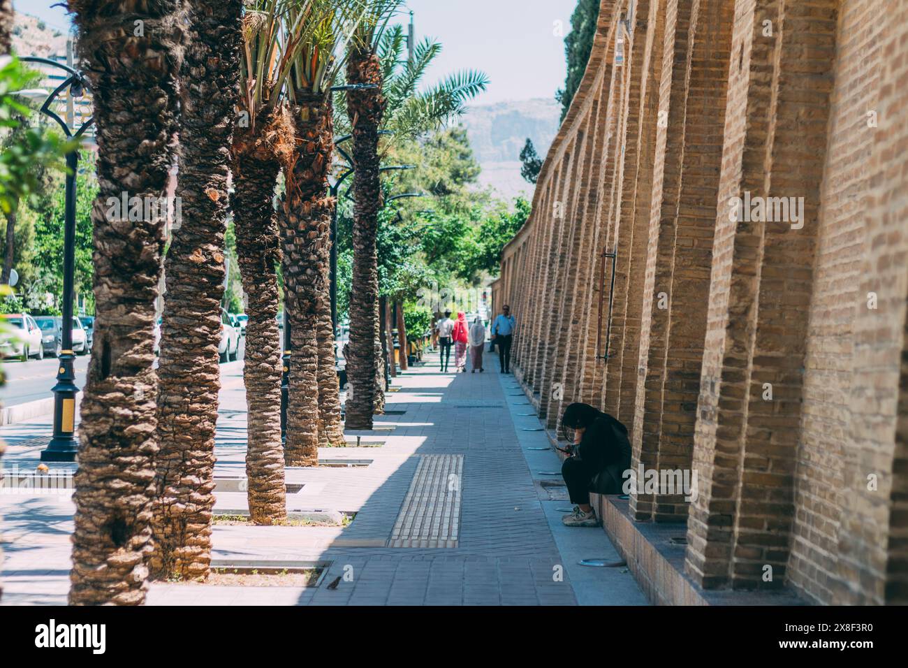 Westliche Außenmauer des Jahan-Nama-Gartens, ein Garten aus dem 14. Jahrhundert in Shiraz, Iran. Stockfoto Westliche Außenmauer des Jahan-Nama-Gartens, ein Garten aus dem 14. Jahrhundert in Shiraz, Iran. Stockfoto