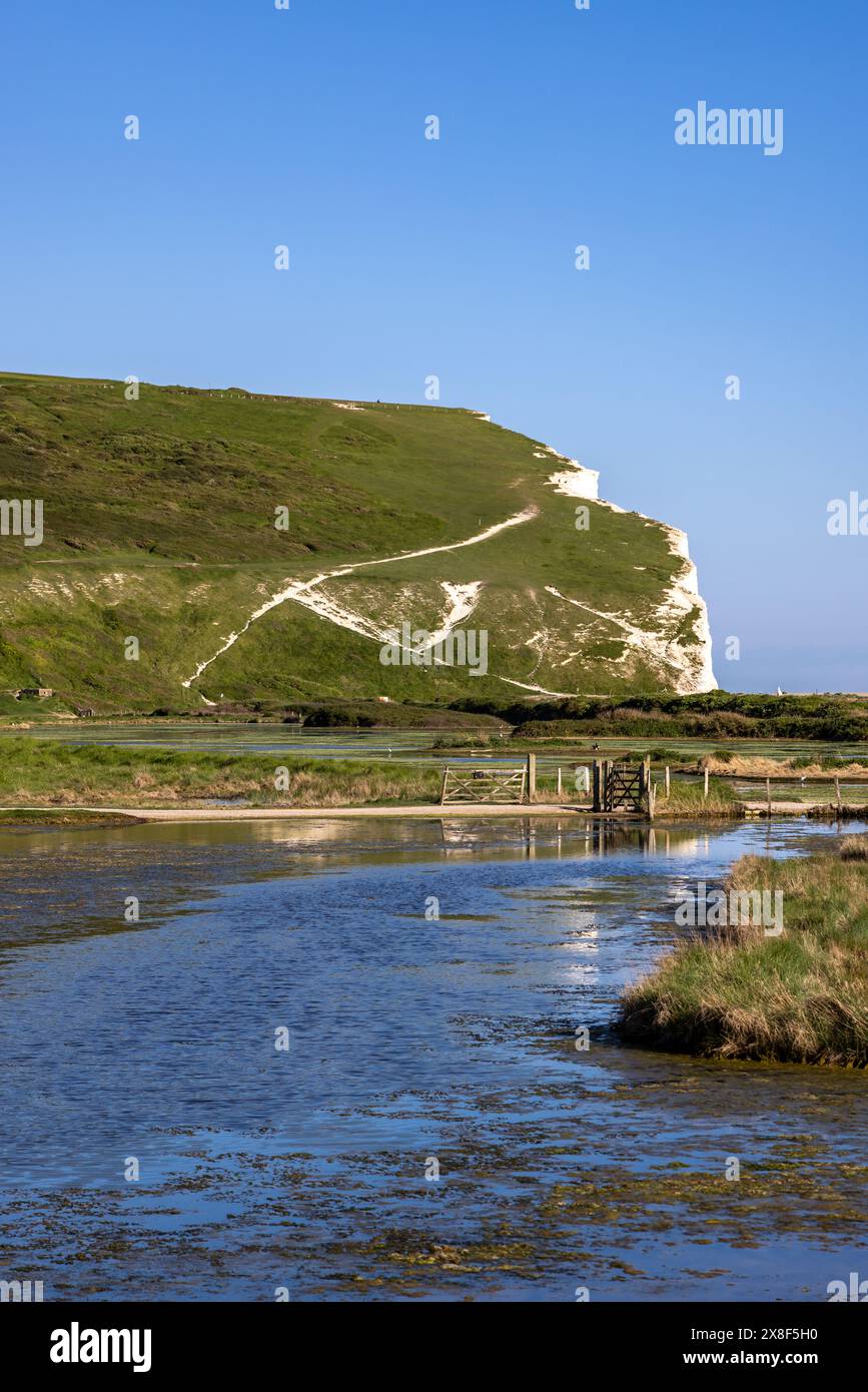 Haven Brow, der Beginn der Seven Sisters Serie von Klippen mit blauem Himmel über dem Himmel Stockfoto