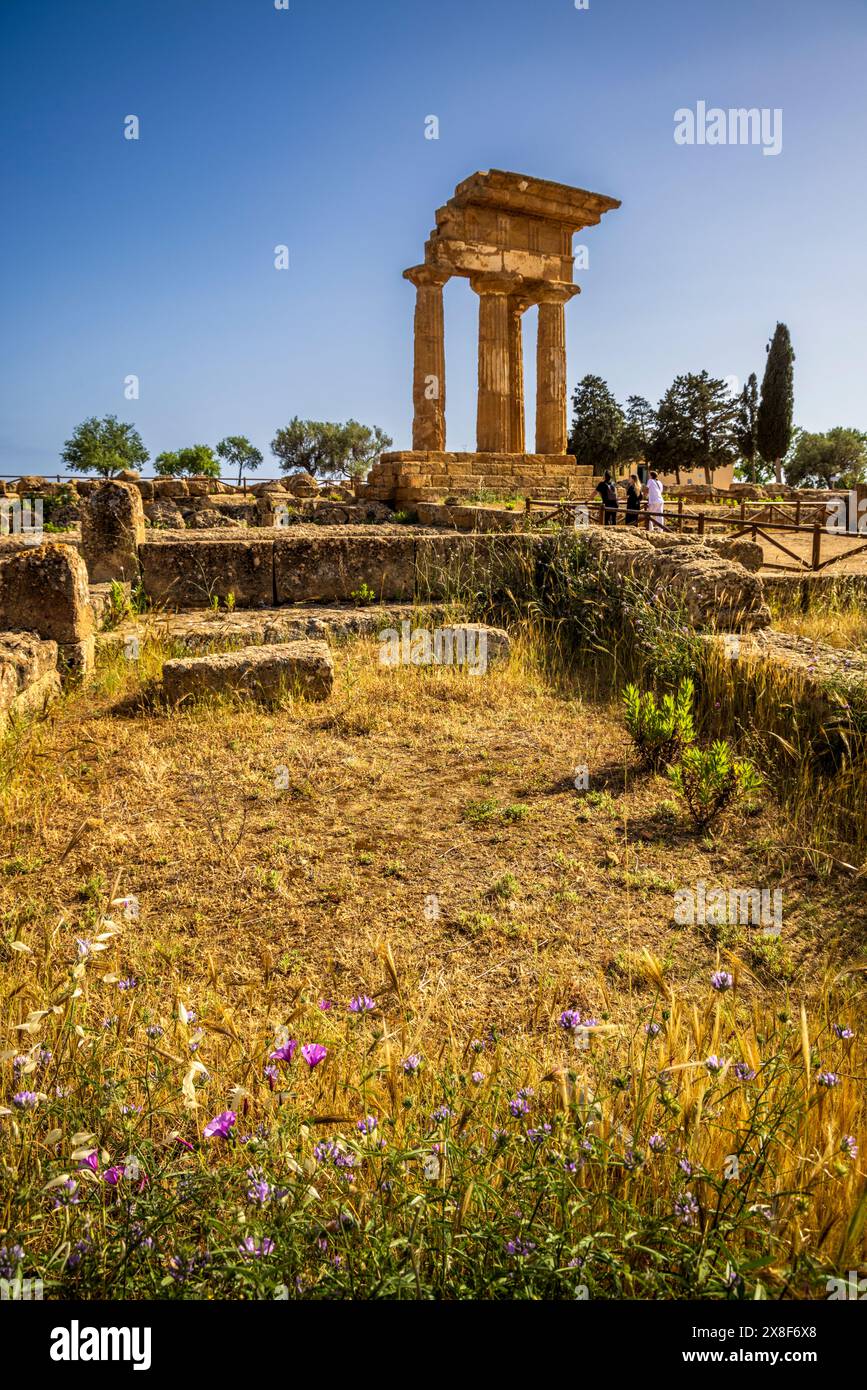 Der griechische Tempel von Castor und Pollux, Tal der Tempel, Agrigento, Sizilien Stockfoto