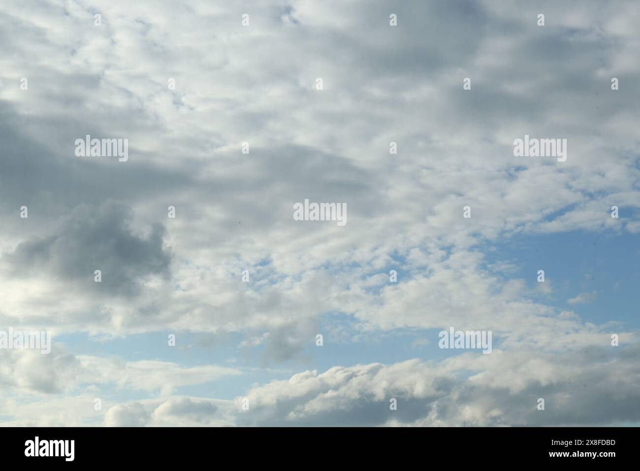 Wunderschöner Blick auf den Himmel mit flauschigen Wolken Stockfoto