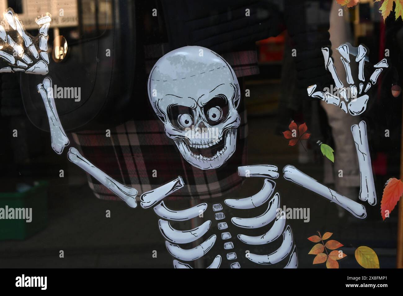 Schaufenster halloween Dekoration Stockfoto
