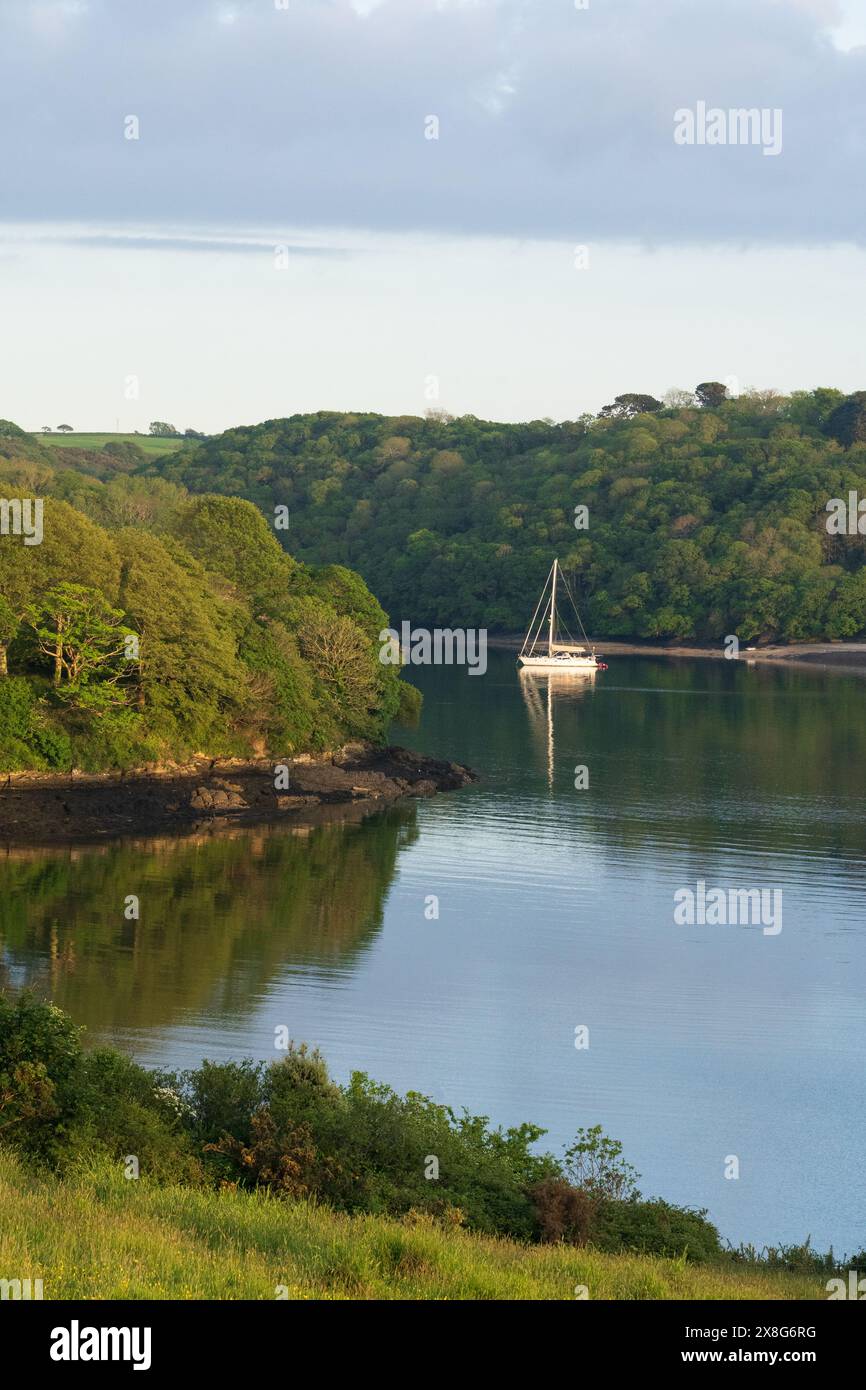 Blick auf die FAL-Mündung von Trelissick Garden, Feock, Cornwall Stockfoto