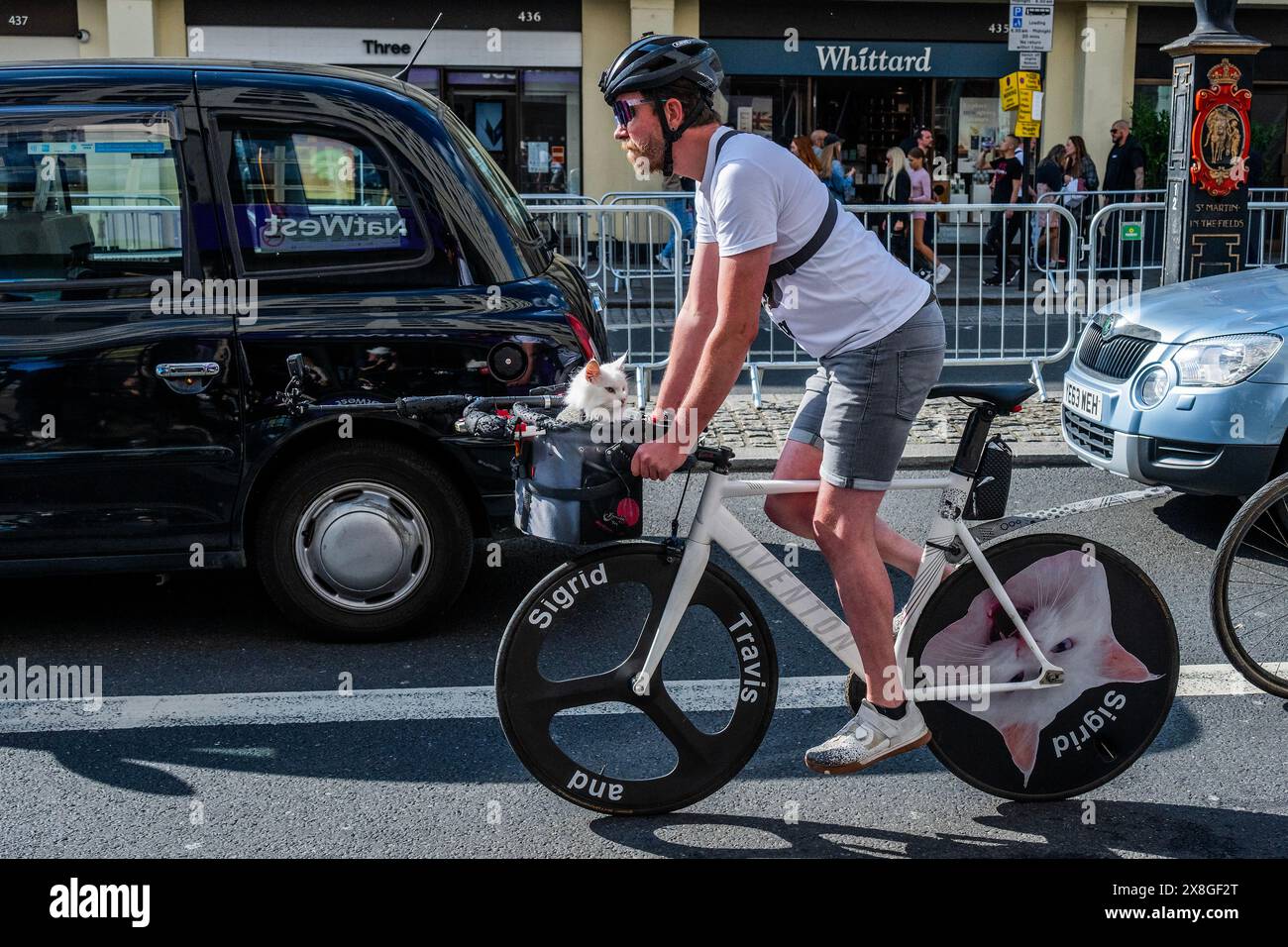 London, Großbritannien. Mai 2024. Sigrid, die Cycling instagram Star Cat (von Travis und Sigrid), schließt sich dem Protest - Cycling Rebellion Launch an und ruft die Menschen dazu auf, Maßnahmen zu ergreifen, um eine Zukunft für kommende Generationen zu sichern. Wir treffen uns unter der Waterloo Bridge, South Bank und fahren auf einer Messe zum DPT. Von Transport haben sie die Leute aufgerufen, UNSERE STRASSEN zu RETTEN. Guy Bell/Alamy Live News Stockfoto