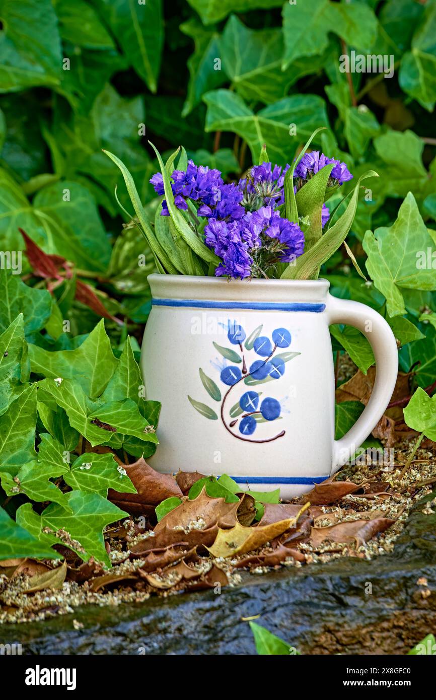 Lila statice blüht in einer kleinen Kaffeetasse. Die drei beliebtesten Bedeutungen, die mit der Blüte verbunden sind, sind: Erinnerung, Sympathie und Erfolg. Stockfoto