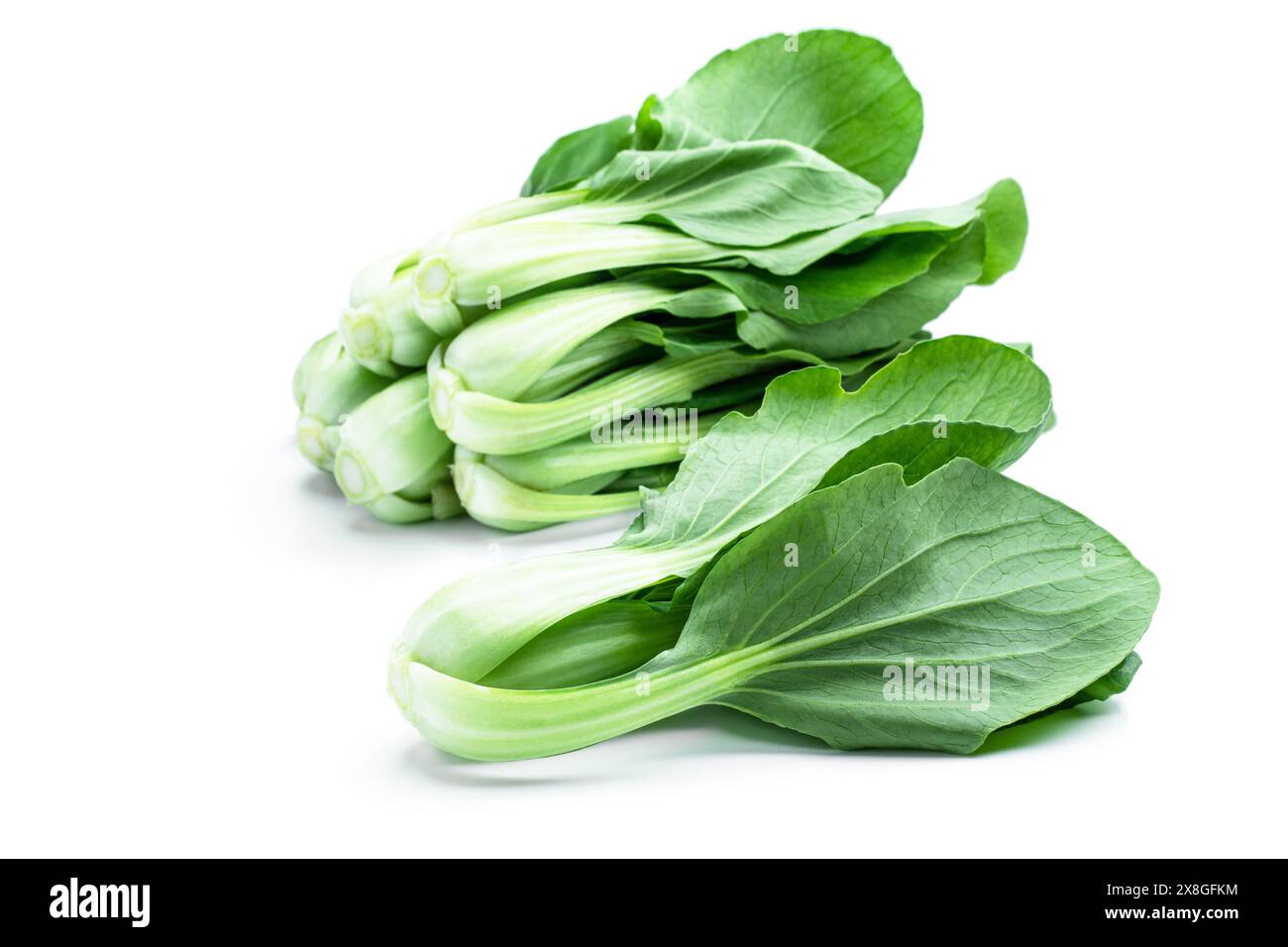 Bok Choy chinakohl isoliert auf weiß Stockfoto Bok Choy chinakohl isoliert auf weiß Stockfoto
