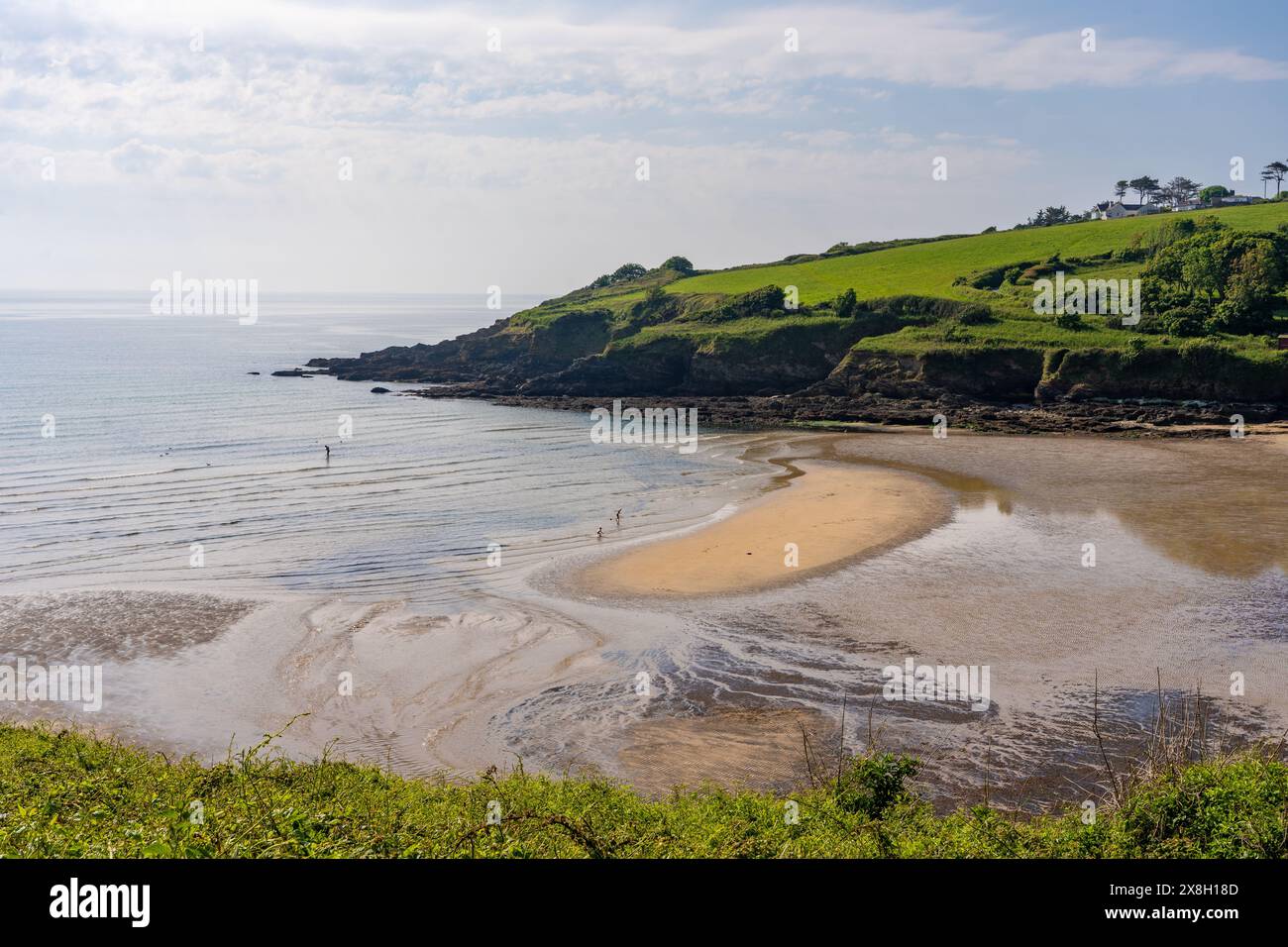 Maenporth Beach in der Nähe von Falmouth, South Cornwall Stockfoto