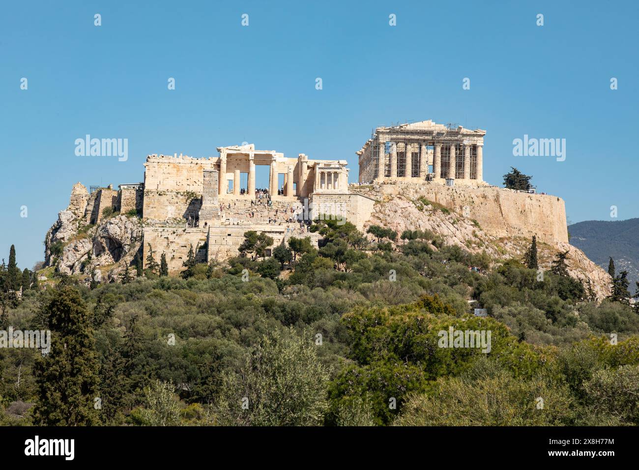 Der Parthenon und die Akropolis fotografiert von Pynx Hill, Athen, Griechenland, Europa. Stockfoto