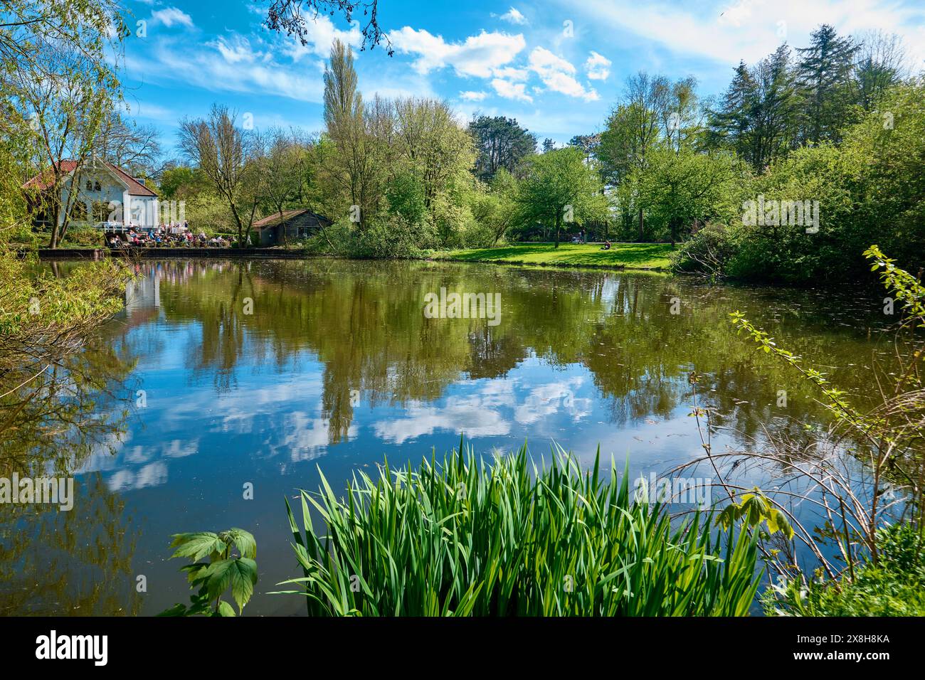 Niederlande, Amsterdam - 07. April 2024: Blick auf einen See im Flevopark Stockfoto