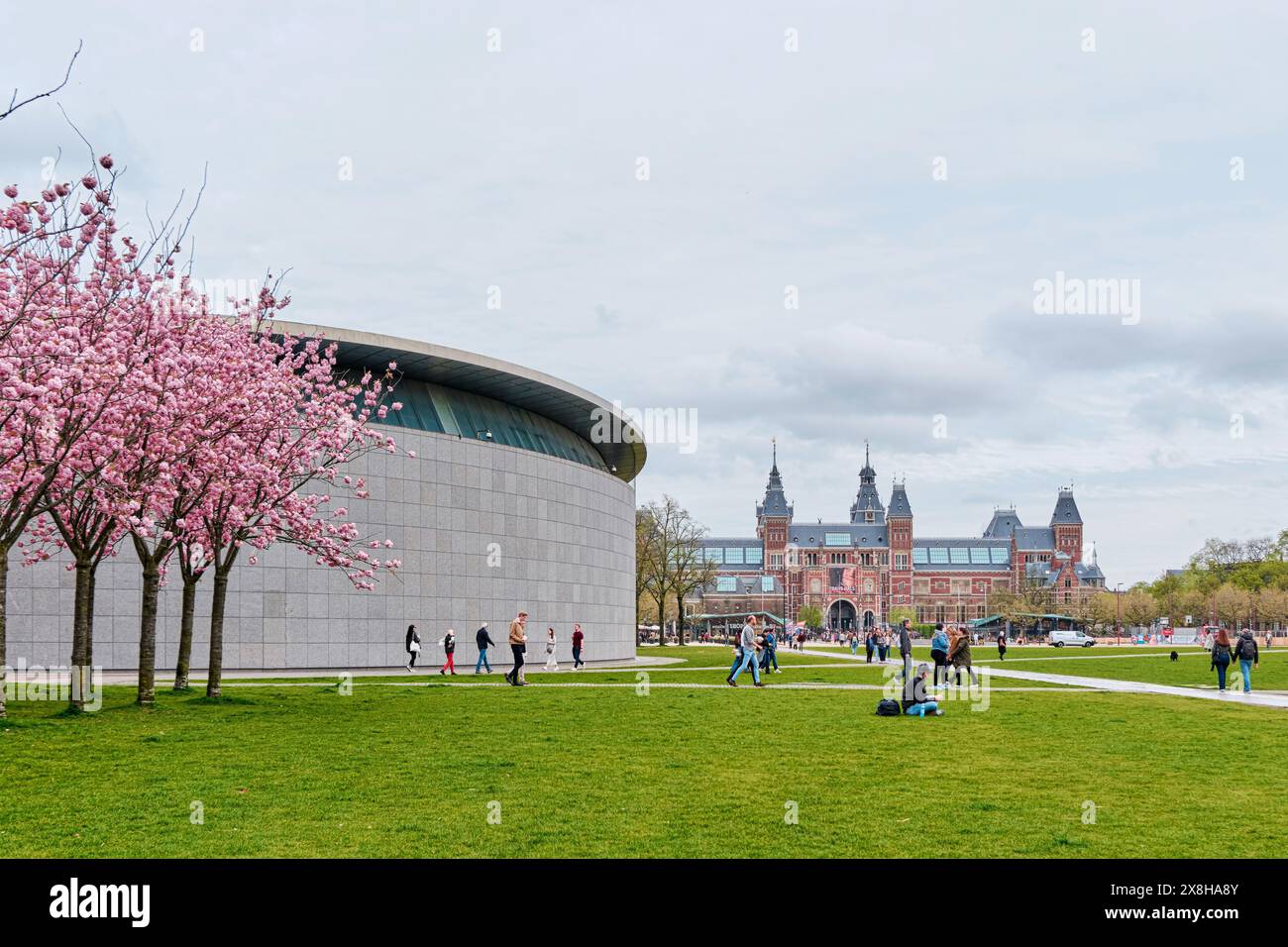 Niederlande, Amsterdam - 10. April 2024: Blühende Kirschbäume im Stadtzentrum von Amsterdam vor dem Hintergrund des Van Gogh-Museums Stockfoto