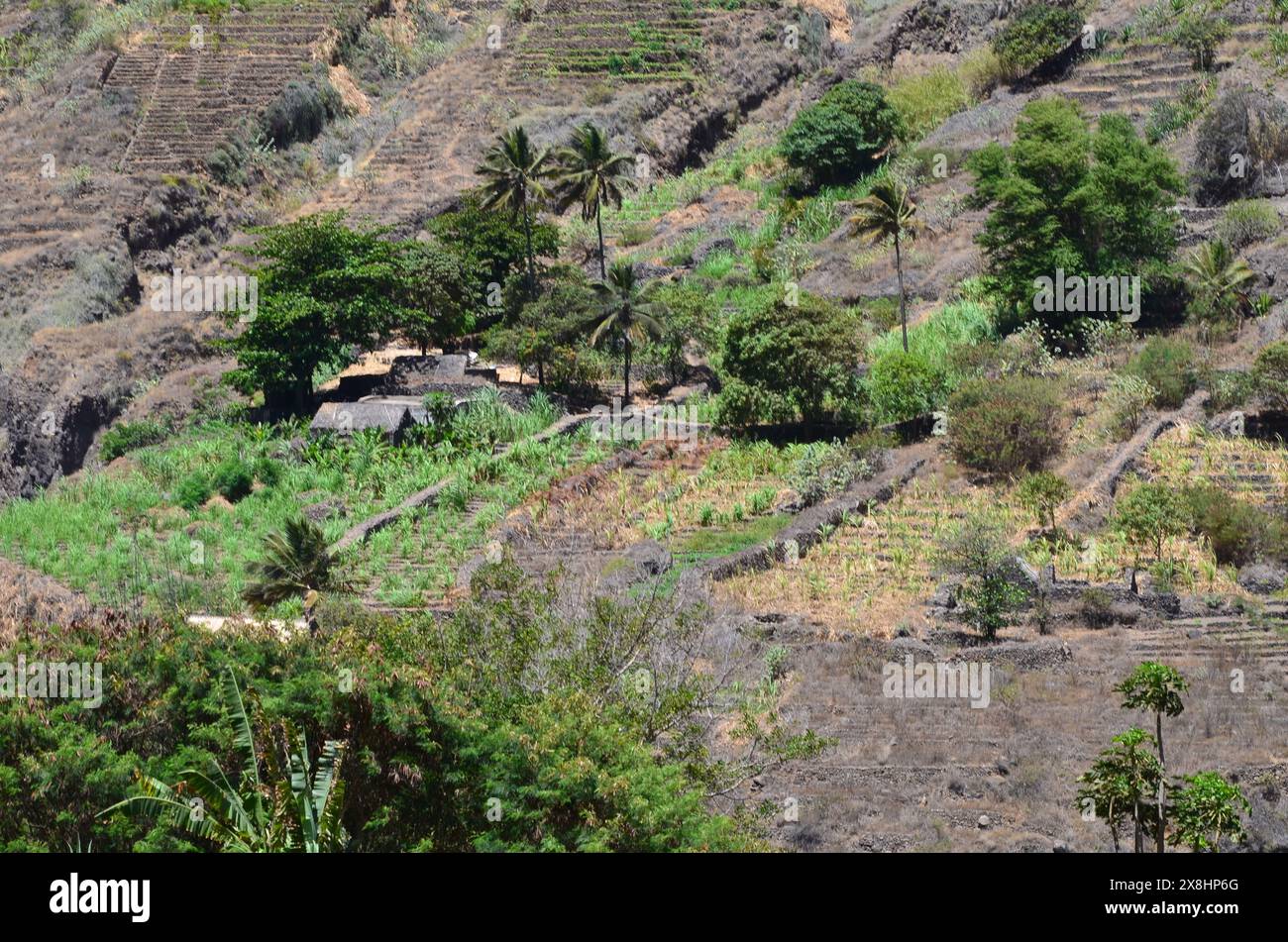 Nachhaltige Landwirtschaft in Trockengebieten: Santo Antao, Cabo Verde Stockfoto