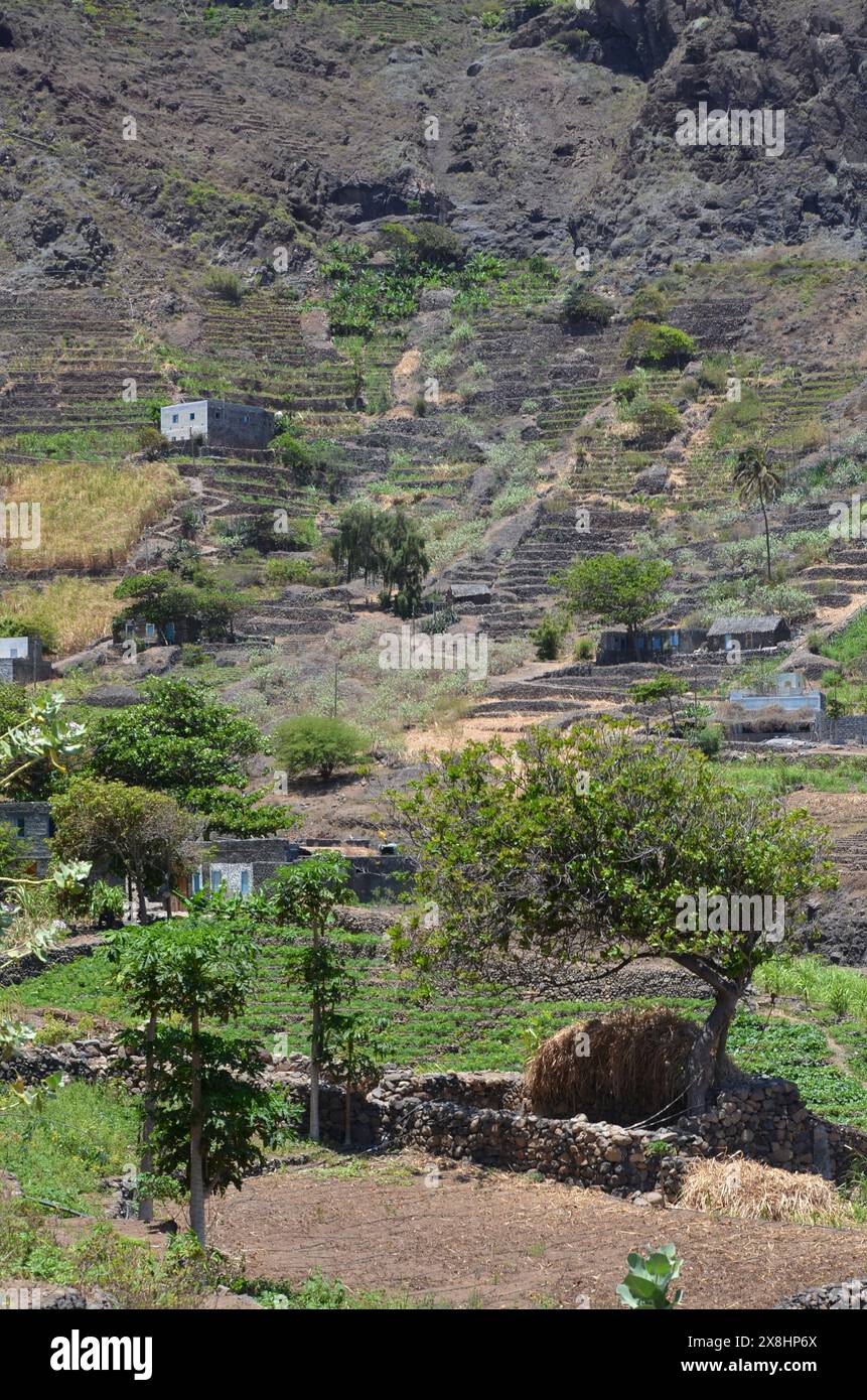 Nachhaltige Landwirtschaft in Trockengebieten: Santo Antao, Cabo Verde Stockfoto