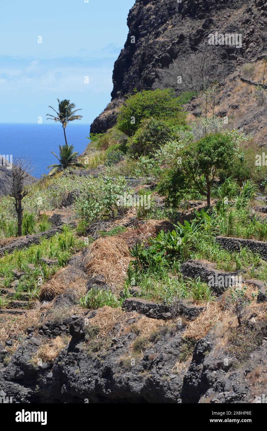 Nachhaltige Landwirtschaft in Trockengebieten: Santo Antao, Cabo Verde Stockfoto