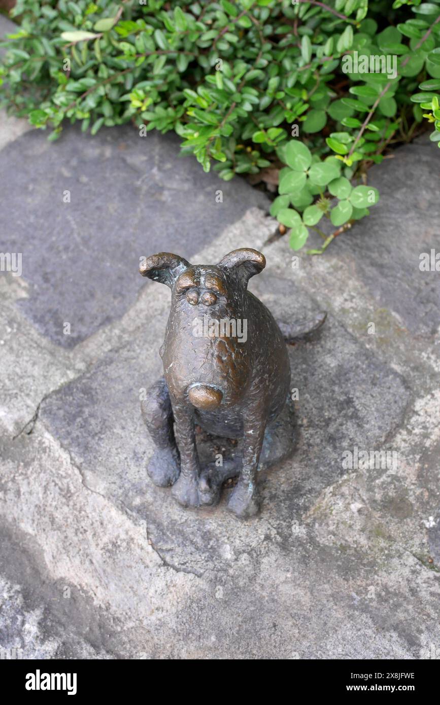 Ungarische Hunderasse, eine Bronzestatue des ungarischen ukrainischen Bildhauers Mihaly Kolodko, Budapest, Ungarn Stockfoto