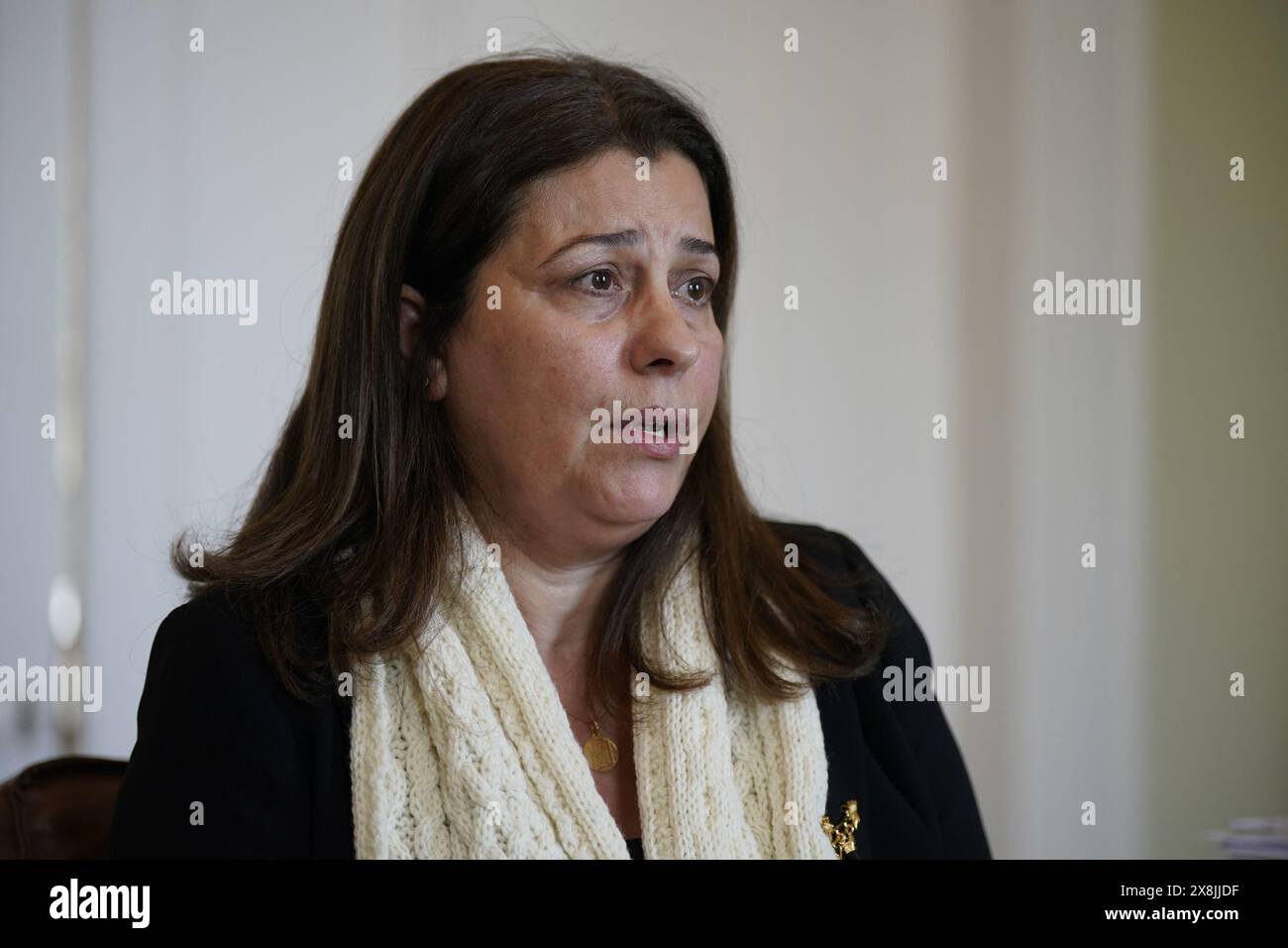 Aktenfoto vom 11/23 des palästinensischen Botschafters in Irland, Dr. Jilan Wahba Abdalmajid, der sagte, sie freue sich darauf, dass ihre Flagge am Dienstag über dem Leinster House fliegt. Die formelle Anerkennung des palästinensischen Staates durch Irland, Spanien und Norwegen, gipfelt monatelange diplomatische Bemühungen irischer Beamter. Ausgabedatum: Sonntag, 26. Mai 2024. Stockfoto