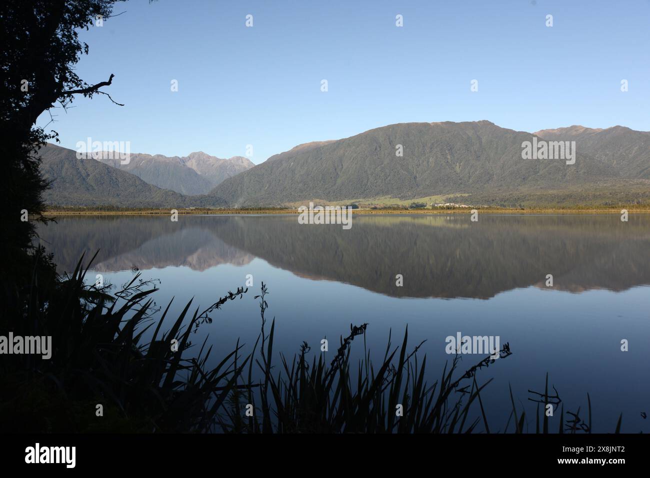 Blick auf den Haupiri-See, Westküste, Neuseeland Stockfoto
