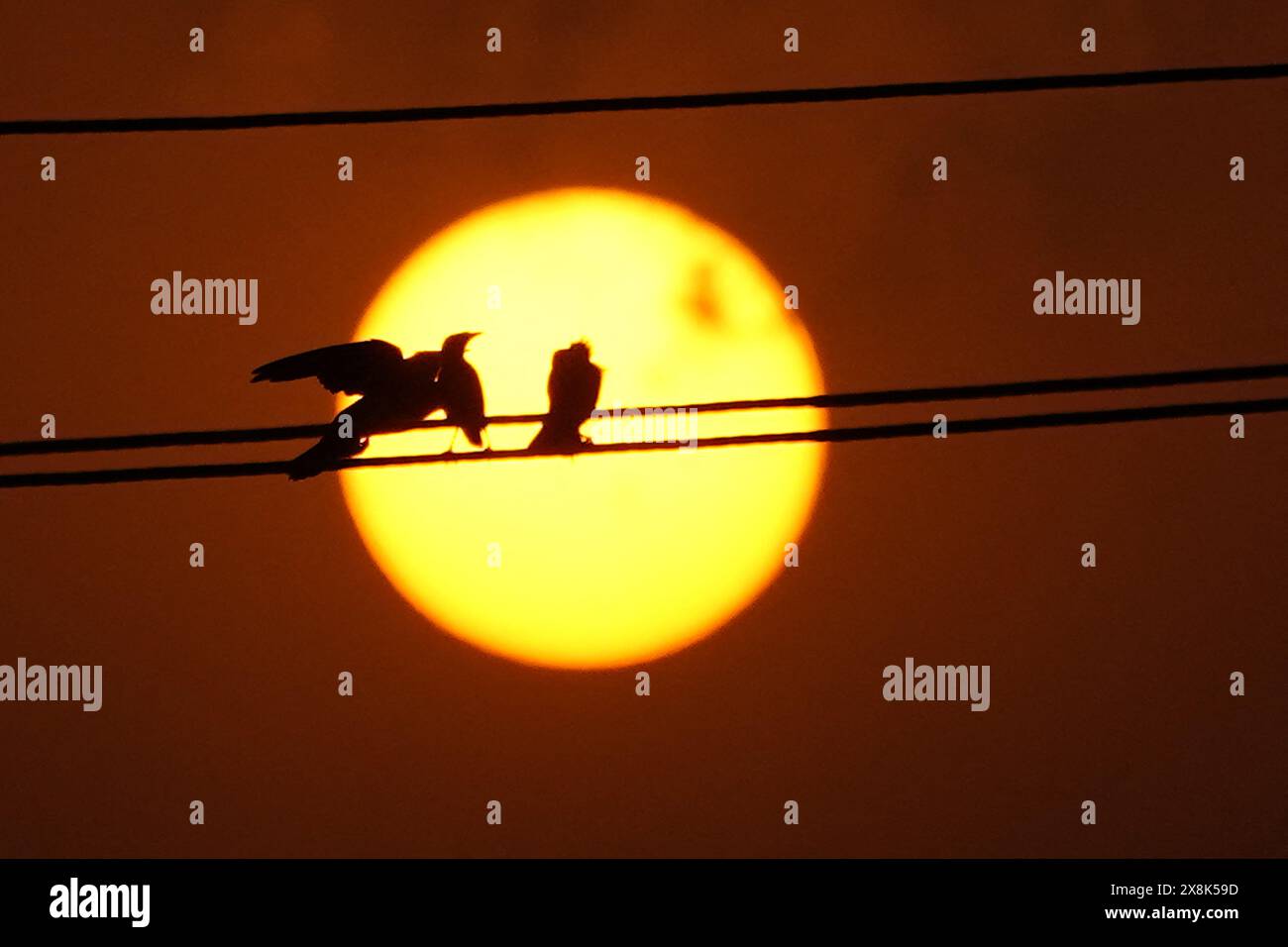 Ajmer, Indien. Mai 2024. Ein Blick auf den Sonnenaufgang während „Nautapa Nine Days of Strong Heat“ in Ajmer, Indien am 25. Mai 2024. Foto von ABACAPRESS. COM Credit: Abaca Press/Alamy Live News Stockfoto