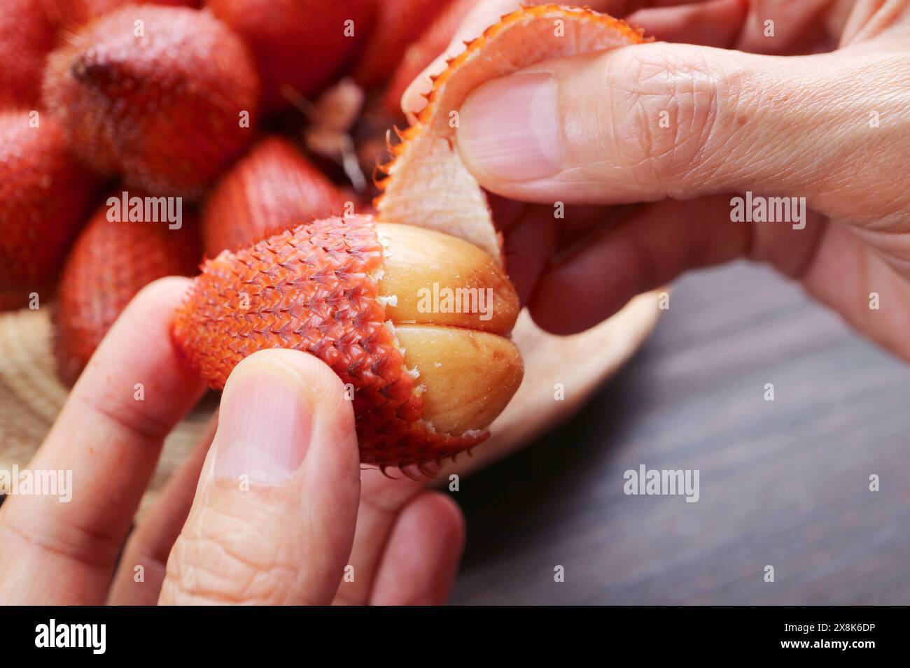 Nahaufnahme des Handschälens der Salakfrucht durch Eindrücken der Spitze und Abziehen Stockfoto