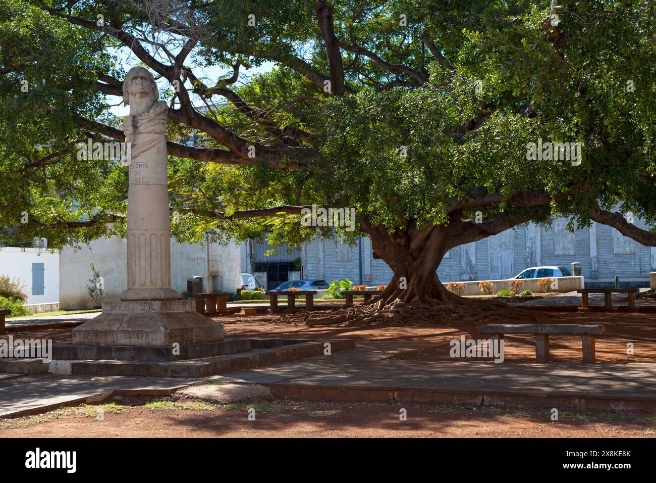 Platz Leconte de Lisle in Saint-Denis de la Réunion mit der Büste des Dichters Leconte de Lisle, im Schatten einer herrlichen Ficus microcarpa. Stockfoto