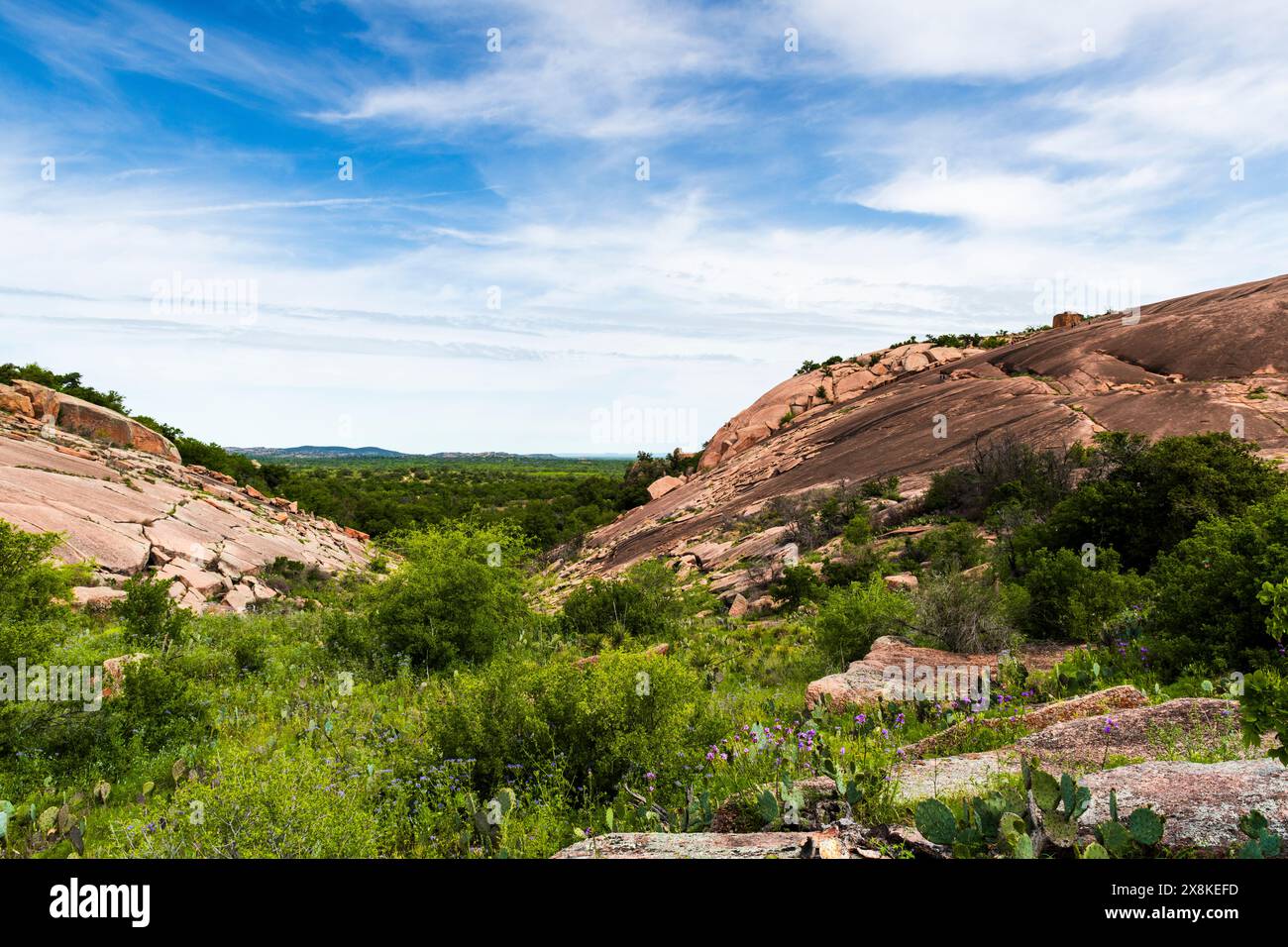 Grüne Vegetation und rosafarbener Granitstein aus verzaubertem Felsen Stockfoto