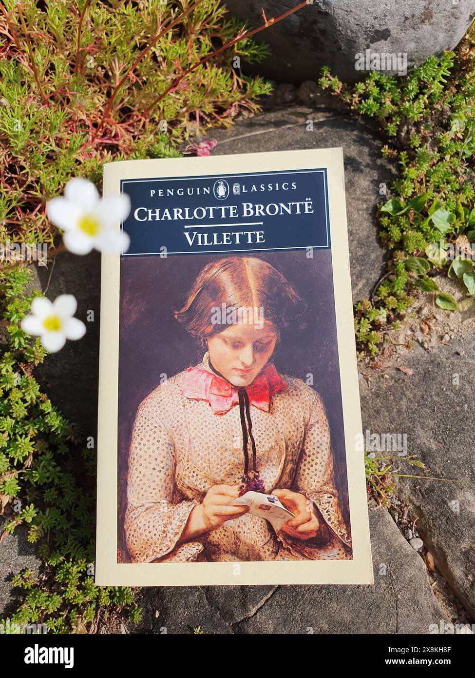 Villette Roman von Charlotte Bronte Buch in einer Frühlingsgartenlandschaft Stockfoto