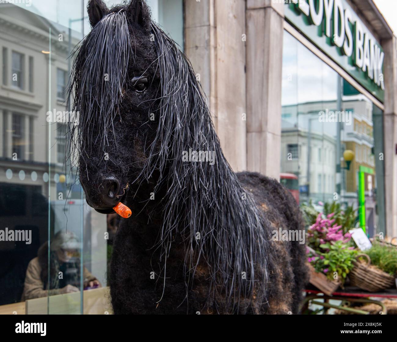 Lloyds Bank Black Horse Display mit einer Karotte im Mund vor dem Bankfenster in der Kings Road London Chelsea in Bloom Display 2024 Stockfoto