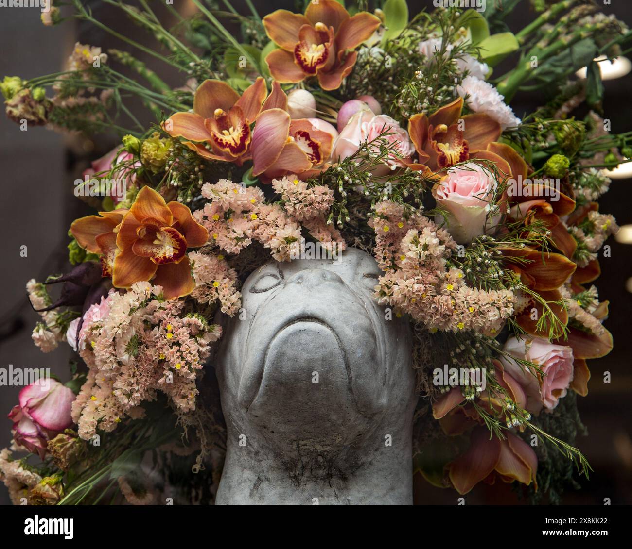 Steinskulptur des Kopfes eines Boxerhundes mit einer üppigen Blumenkrone aus Orchideen, Rosen und anderen Blüten. Chelsea in Blüte 2024 Stockfoto