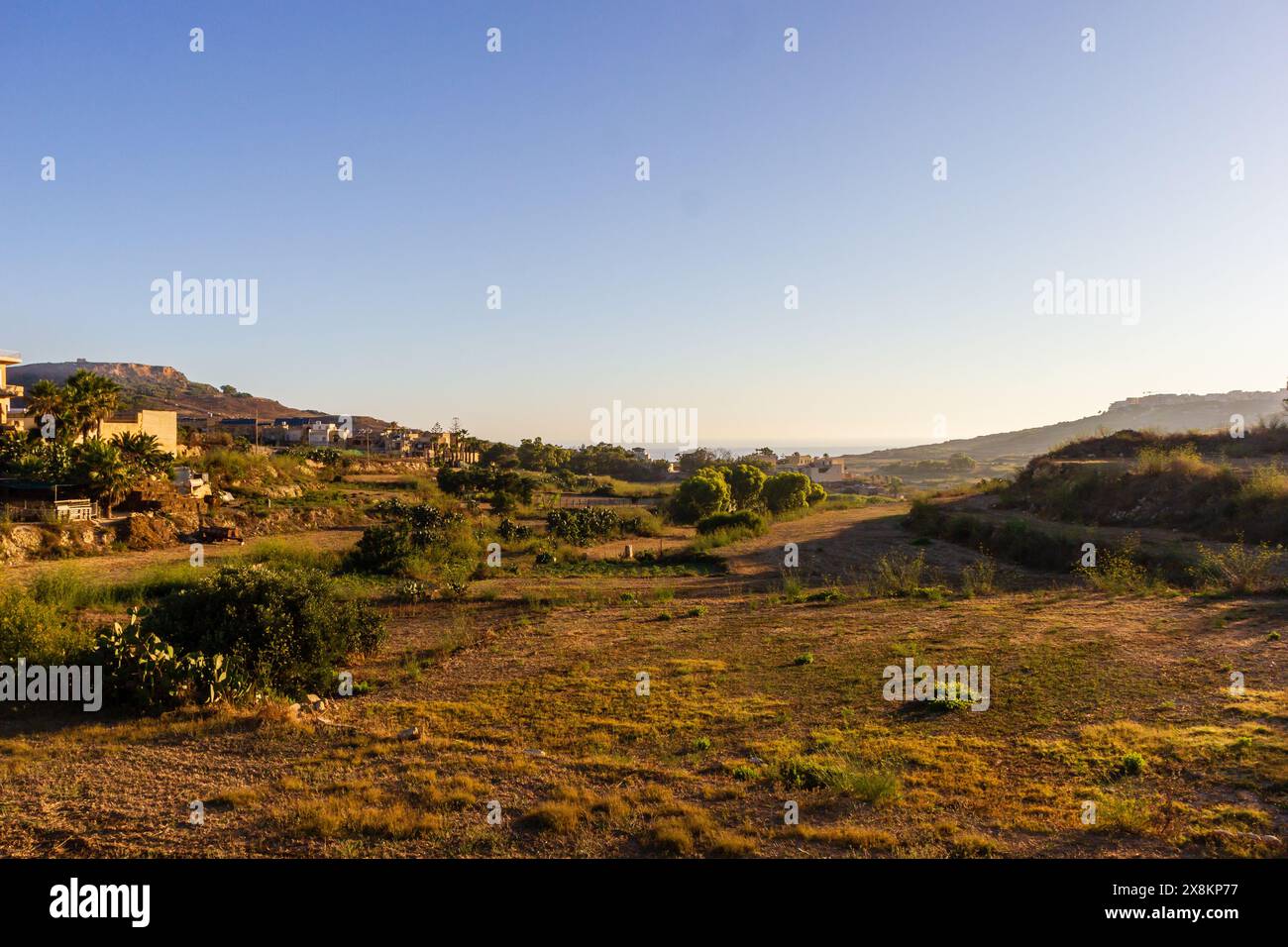 Unberührte Landschaft: Grüne Wiesen, sanfte Hügel, klarer Himmel, ruhige Landschaft, ruhige Natur. Stockfoto