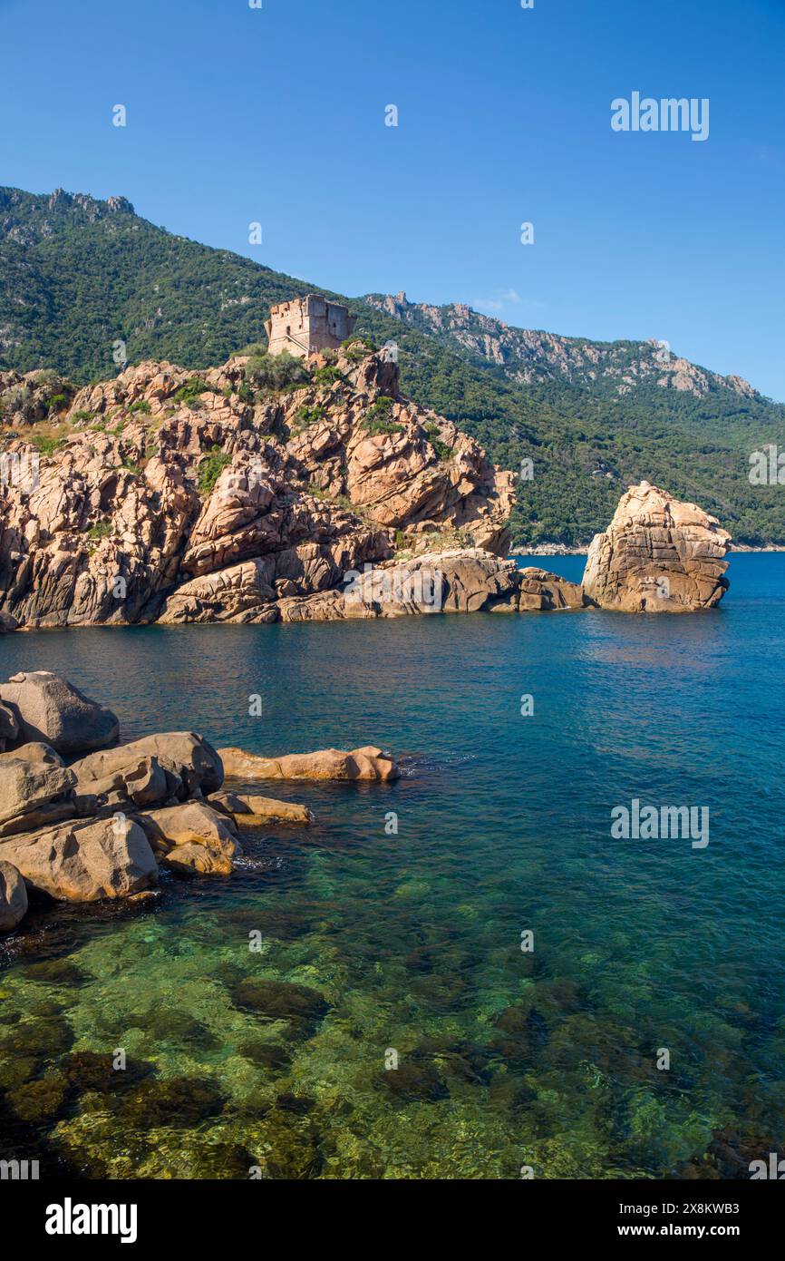 Porto, Corse-du-Sud, Korsika, Frankreich. Blick über die friedliche Bucht zum genuesischen Wachturm aus dem 16. Jahrhundert auf der felsigen Landzunge. Stockfoto