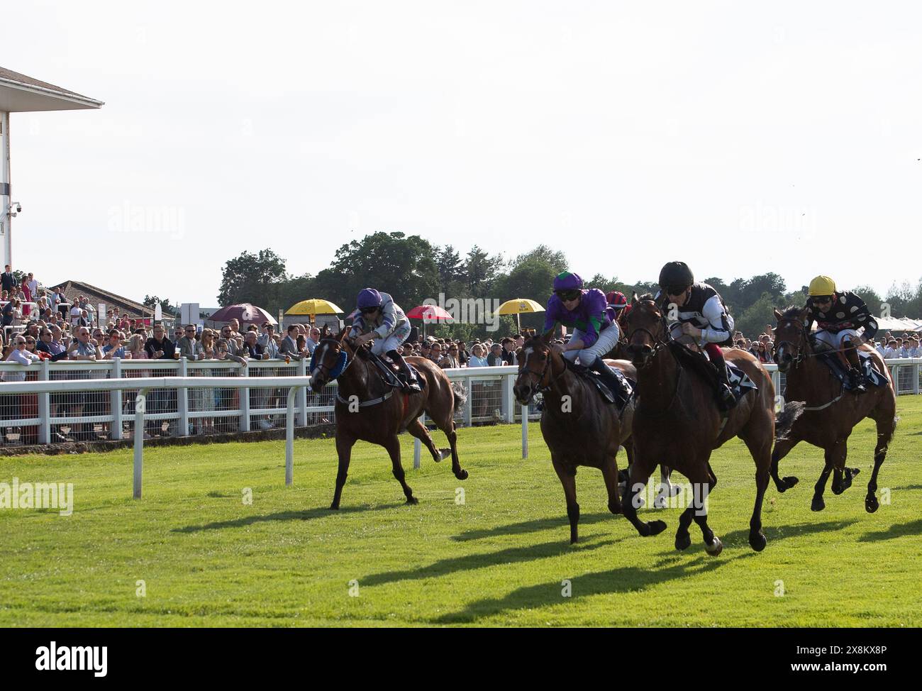 Windsor, Großbritannien. Mai 2024. Der von Jockey Edward Greatrex gerittene Chic der 60er Jahre gewinnt die Besuche Sri Lanka Handicap Stakes bei den Abendrennen der Summer Opening Party auf der Royal Windsor Racecourse in Windsor, Berkshire. Eigentümerfeld 41. Trainer Jack Channon, West Ilsley, Sponsor Jack Channon Racing Limited. Quelle: Maureen McLean/Alamy Live News Stockfoto