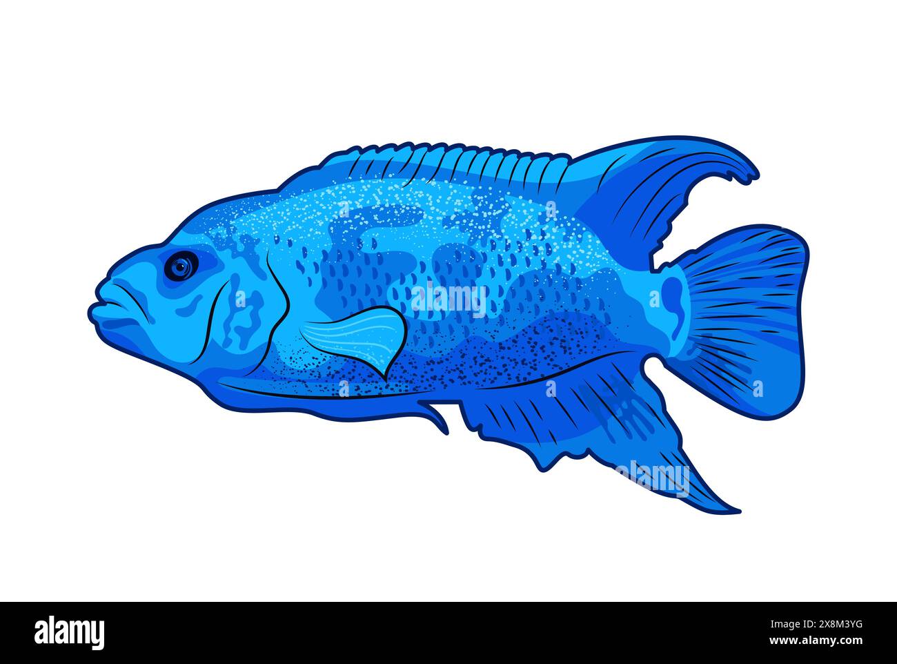Cichlasoma Blue Jack Dempsey. Süßwasserfische aus der Familie Cichlid. Icon Vektor-Illustration von tropischen Fischen auf weißem Hintergrund, Aquar Stock Vektor