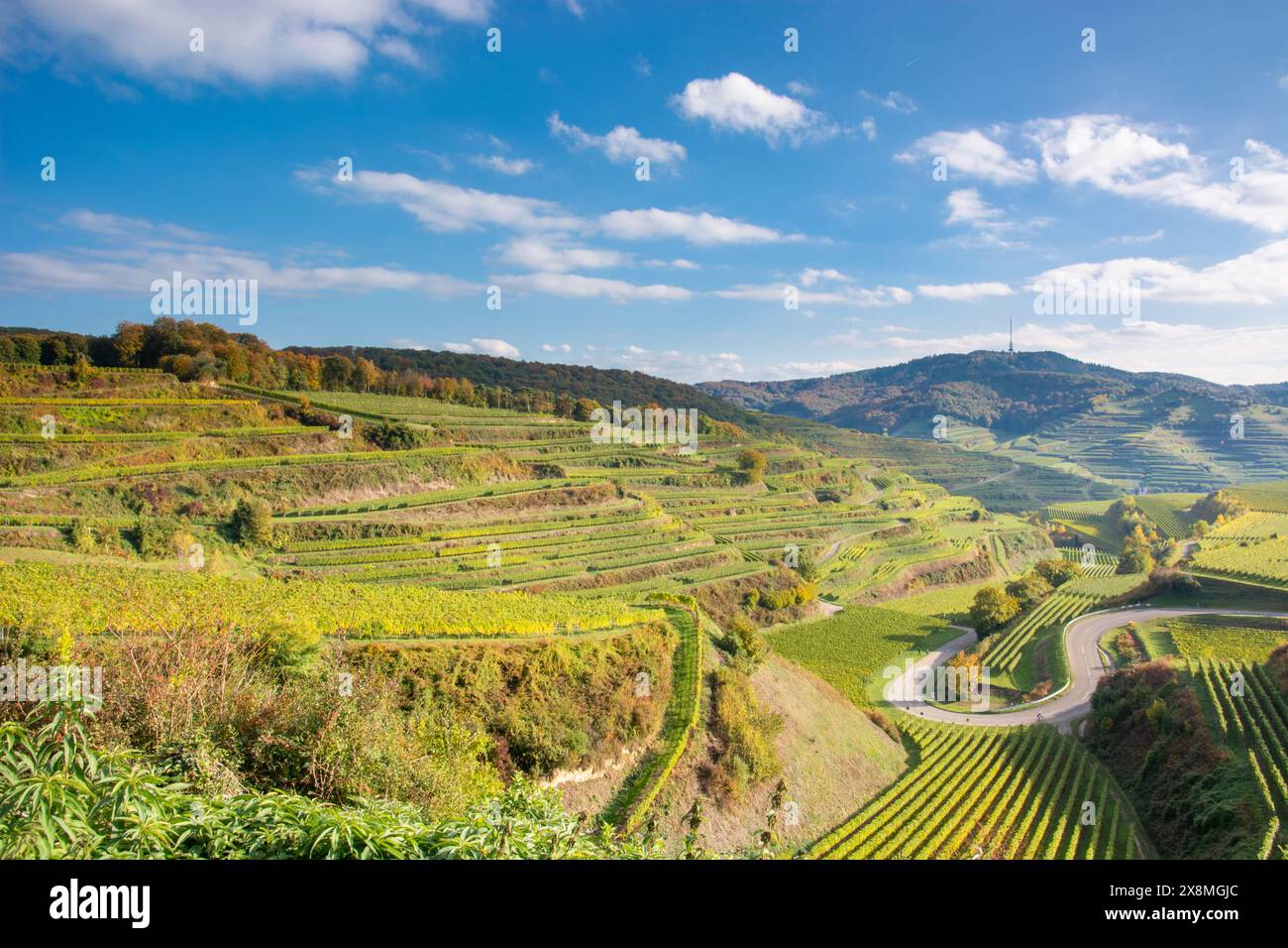 Texas Pass - Landschaft mit Weinbergen in Kaiserstuhl Stockfoto