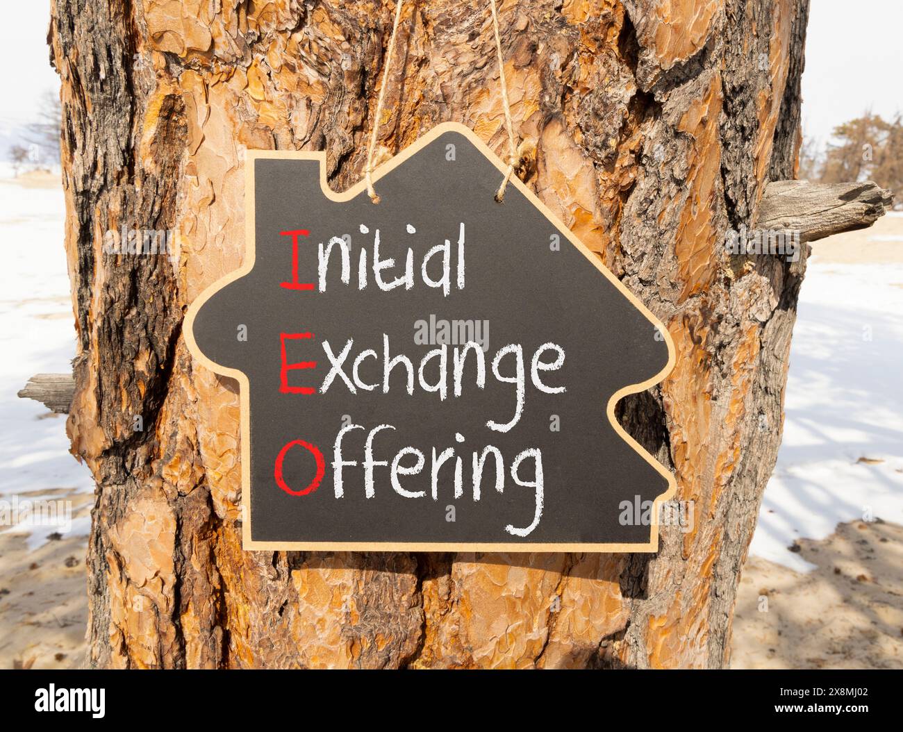 IEO-Symbol für anfängliches Austauschangebot. Konzeptworte IEO erstes Austauschangebot auf schöner gelber Tafel. Wunderschöner Baumhintergrund. Unternehmen Stockfoto