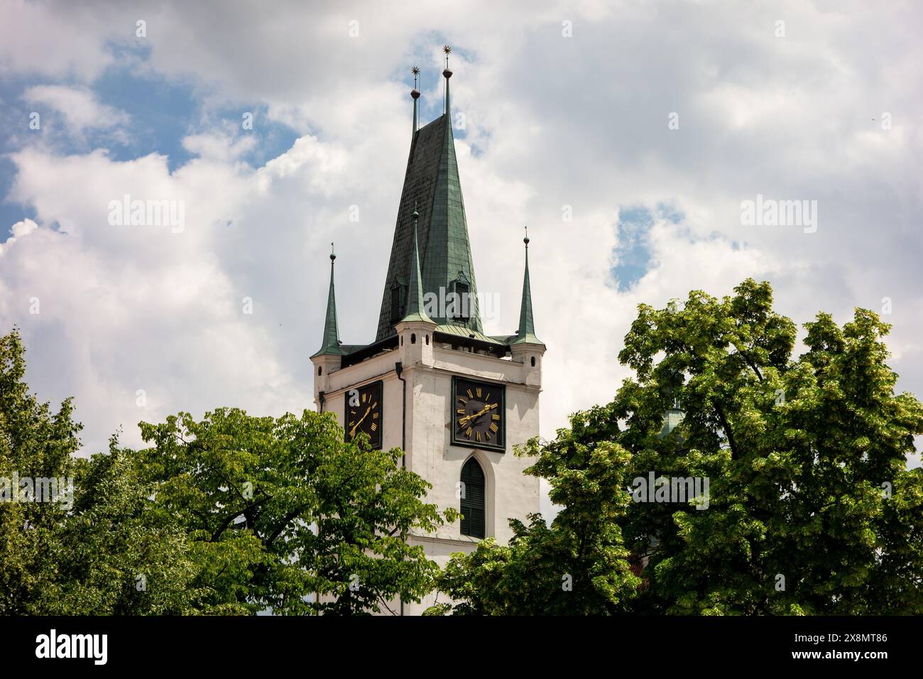 Kamenna vez (Steinturm) mit Uhren der Allerheiligsten-Kirche in Litomerice, Tschechien, versteckt hinter Bäumen Stockfoto