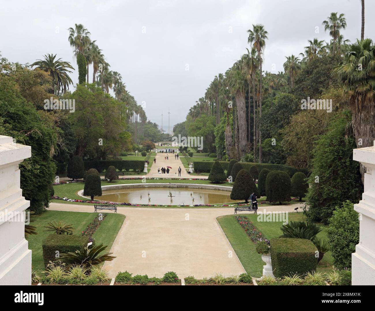 Jardin d'Essai du Hamma in Algier Stockfoto