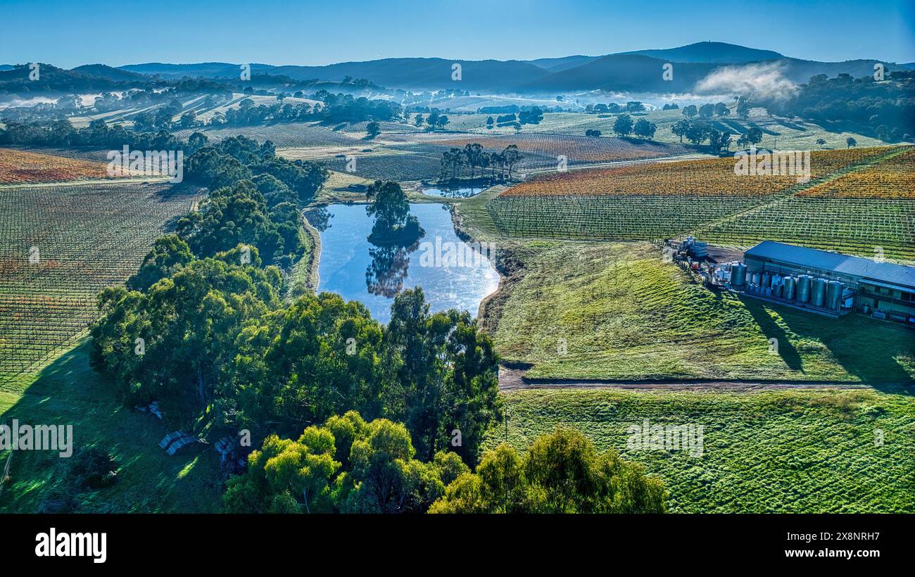 Luftfahrt über Yarra Valley Weinberg mit einem Damm und Nebel unter den Hügeln in der Ferne Stockfoto