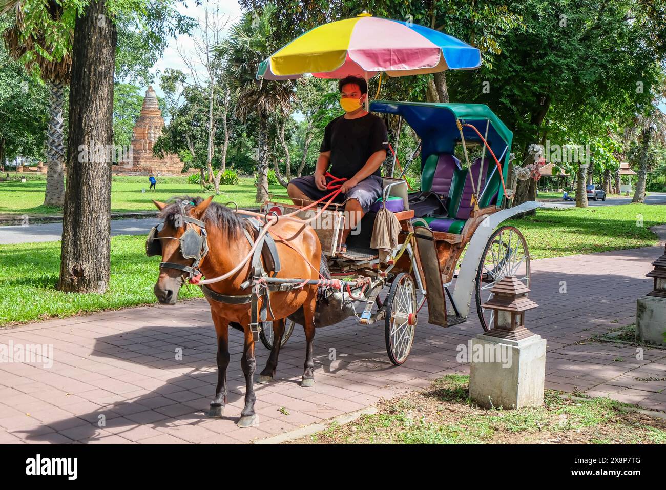 Ponywagen transportieren Touristen rund um Wiang Kum kam Stockfoto