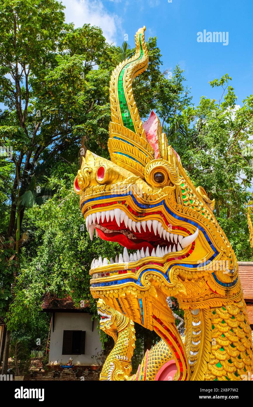 Naga bewacht die Treppe zur Montagehalle in Wat Chang Kham, Wiang Kum kam Stockfoto